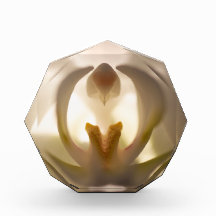 Hermoso bloque de foto de orquídea blanca impresa