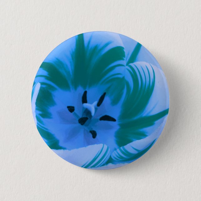 Hermoso botón azul tulipán (Anverso)