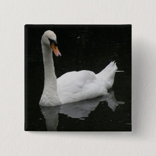 Hermoso botón de cisne blanco (Anverso)
