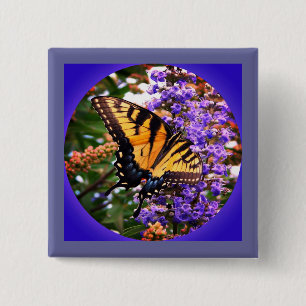 Hermoso botón de pinback de mariposas