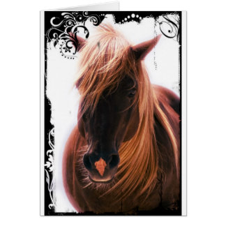 Hermoso caballo