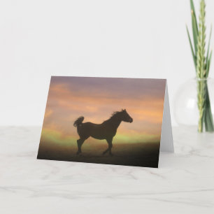 Hermoso caballo árabe en tarjeta de notas Sunrise
