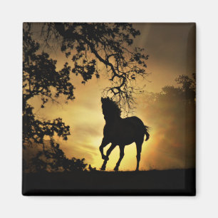 Hermoso caballo corriendo en el imán del atardecer