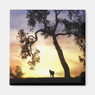 Hermoso caballo en el imán del atardecer