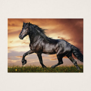 Hermoso caballo negro