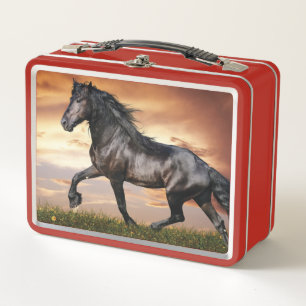 Hermoso caballo negro