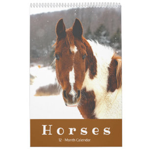 Hermoso calendario de caballos de 12 meses