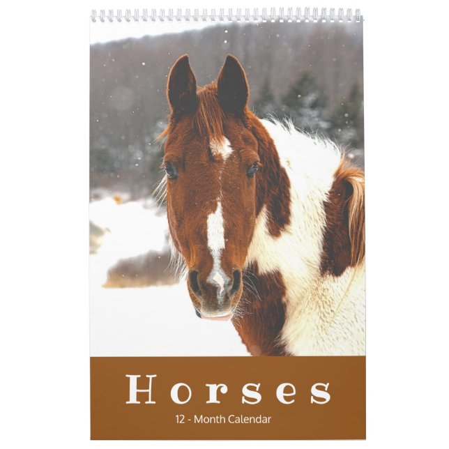 Hermoso calendario de caballos de 12 meses (Tapa)