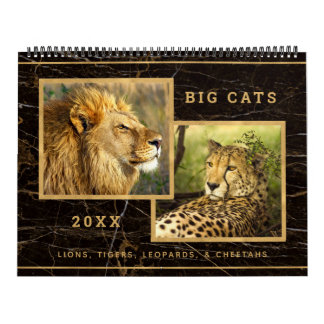 Hermoso calendario de fotos de grandes gatos