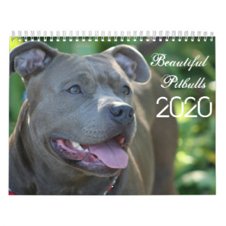 Hermoso calendario de perros Pitbulls 2020