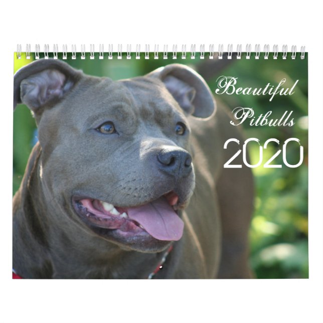 Hermoso calendario de perros Pitbulls 2020 (Tapa)