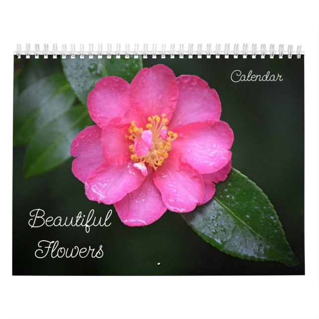 Hermoso calendario floral de flores (Tapa)