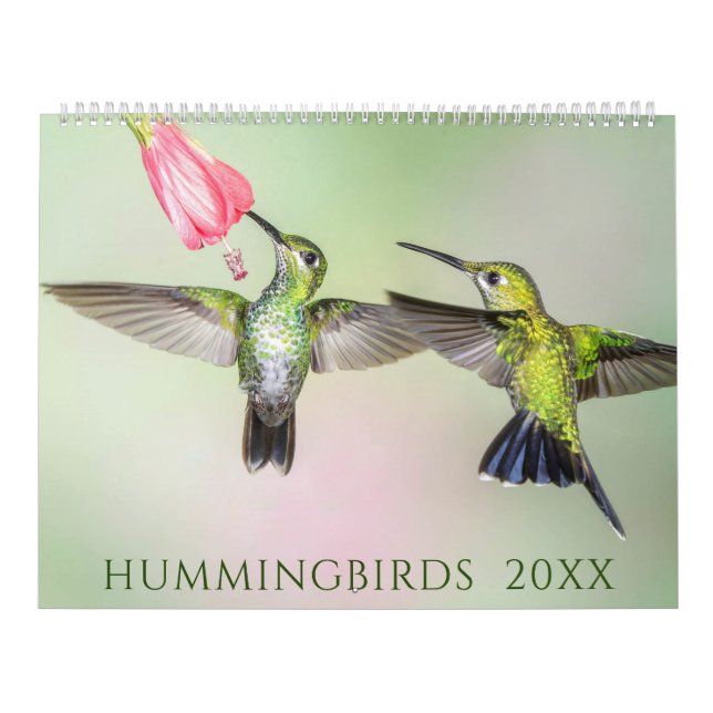 Hermoso calendario fotográfico de Hummingbirds (Tapa)