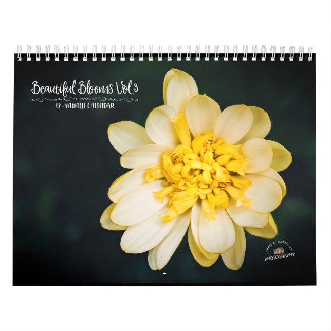 Hermoso calendario Vol. 3 (Tapa)