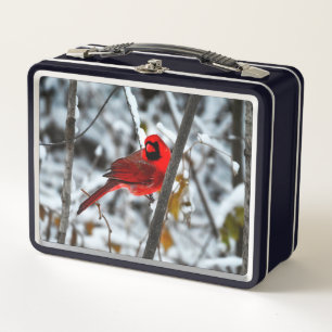 Hermoso cardenal rojo brillante en la nieve