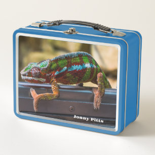 Hermoso Chameleon