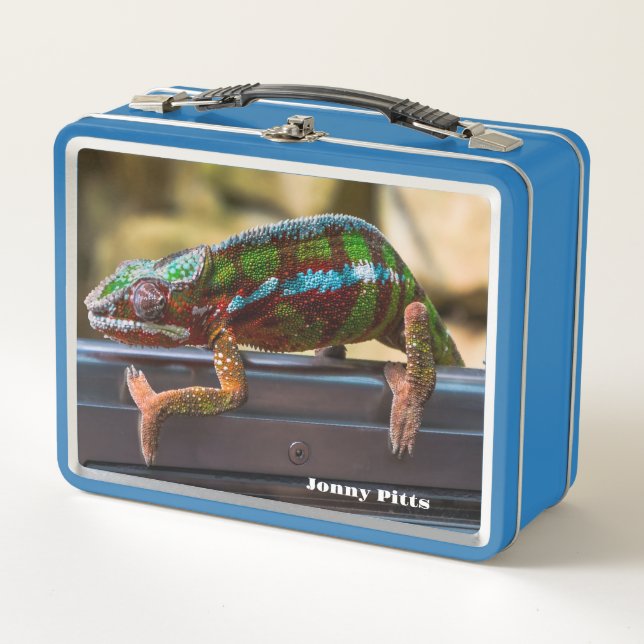 Hermoso Chameleon (Anverso)
