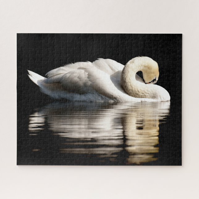 Hermoso cisne blanco, rompecabezas (Horizontal)