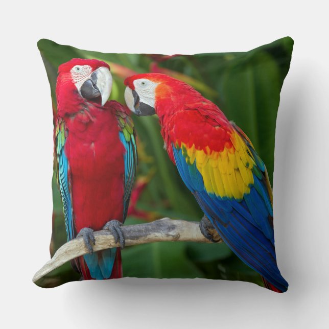 Hermoso Cojín decorativo Pareja de Macaw (Anverso)
