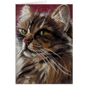 Hermoso Dreamer - Tarjeta para gato Maine Coon