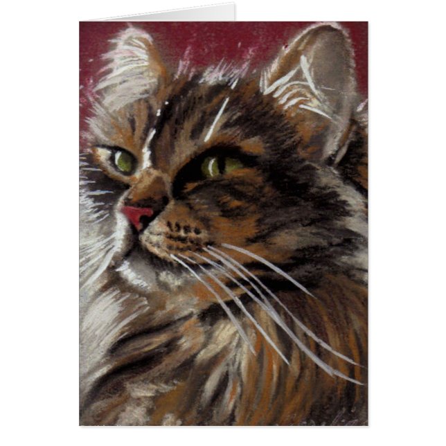 Hermoso Dreamer - Tarjeta para gato Maine Coon (Frente)