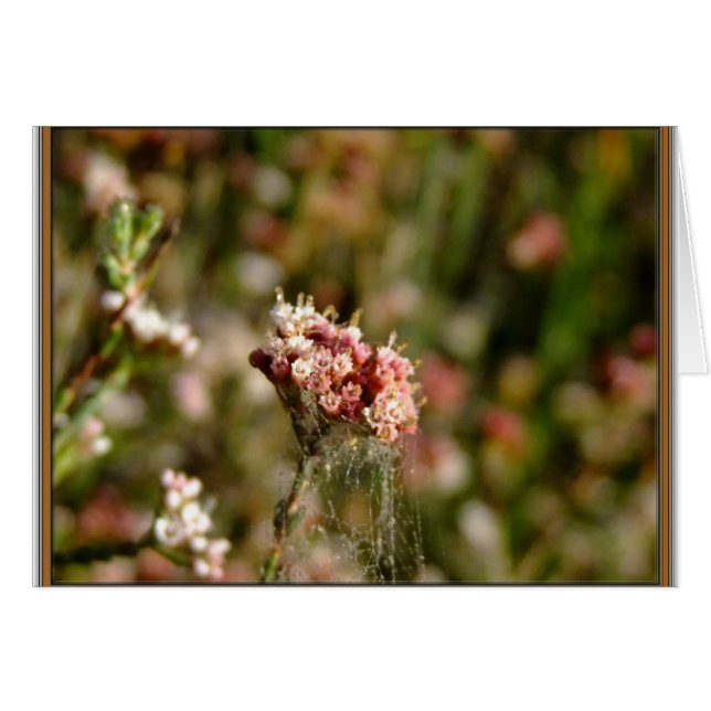 Hermoso florecimiento (Anverso (Horizontal))