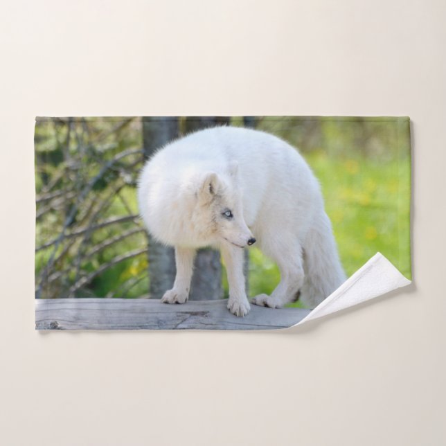 Hermoso Fox Ártico (Toalla de mano)