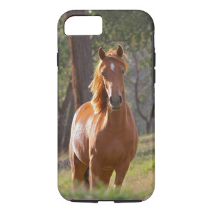 Hermoso funda de iPhone 7 para caballos