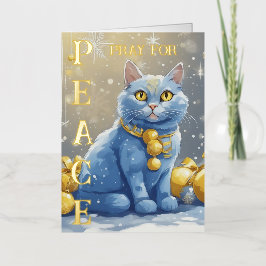 Hermoso gato amarillo con ojos azules - ucrania