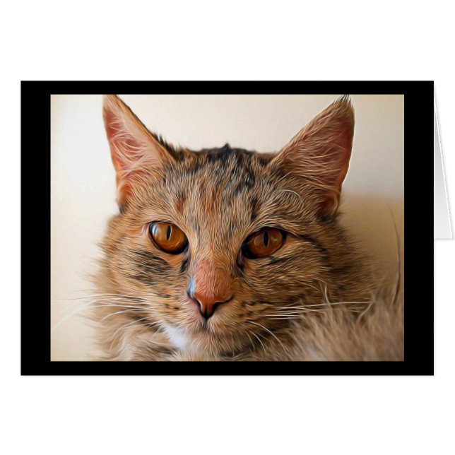 Hermoso gato de Tabby (Anverso (Horizontal))