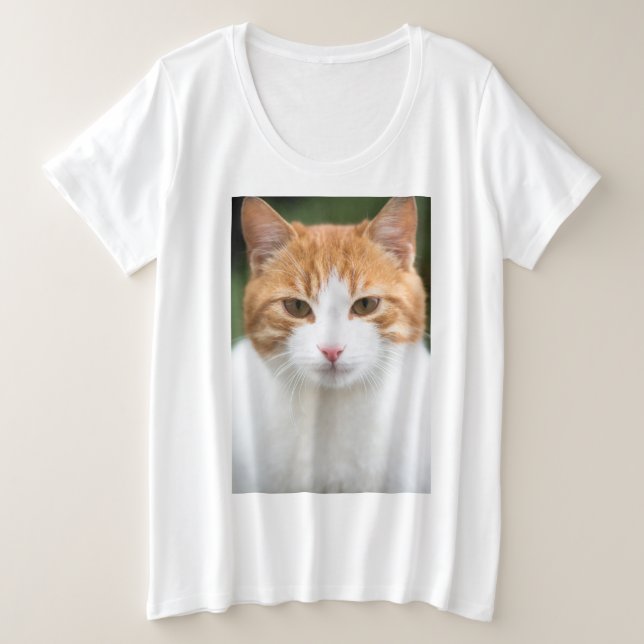 Hermoso gato rojo (Anverso del diseño)