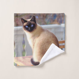 Hermoso gato siamés con ojos azules