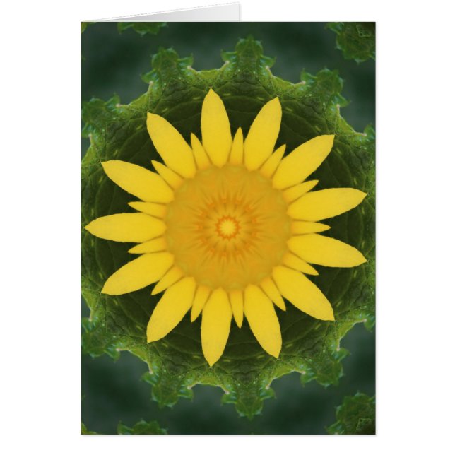 Hermoso girasol (Frente)