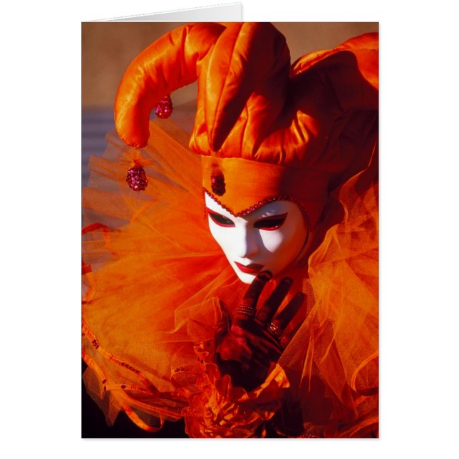 Hermoso Harlequin (Frente)