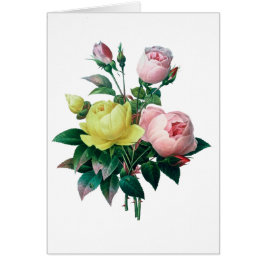 hermoso ilustracion botánico vintage, rosa