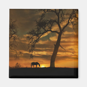 Hermoso imán de caballos