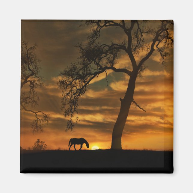 Hermoso imán de caballos (Frente)