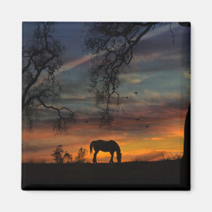 Hermoso imán de caballos del Suroeste