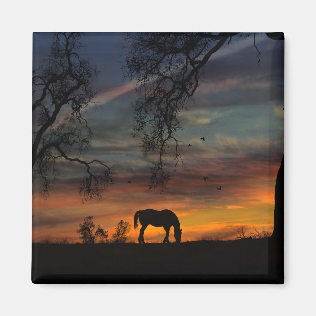 Hermoso imán de caballos del Suroeste (Frente)