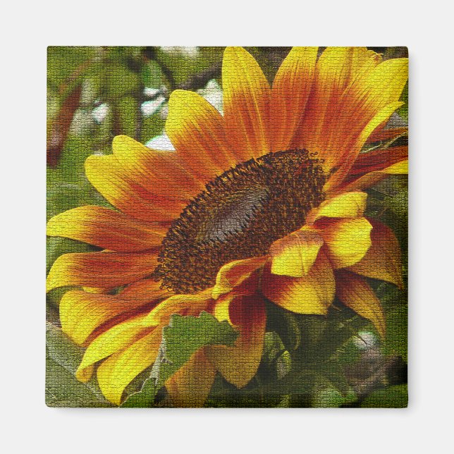 Hermoso imán de girasol amarillo y Naranja (Frente)