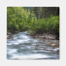 Hermoso imán fluvial