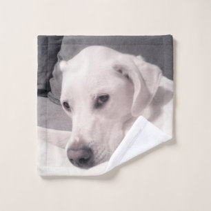 Hermoso Labrador Blanco Regal Mezcla Perro Lágrim