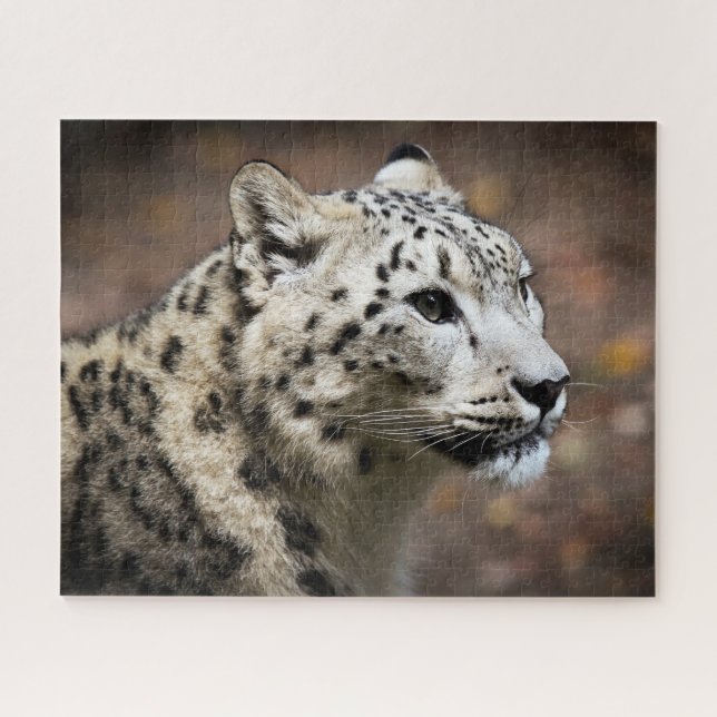 Hermoso leopardo de la nieve, rompecabezas del rom (Horizontal)