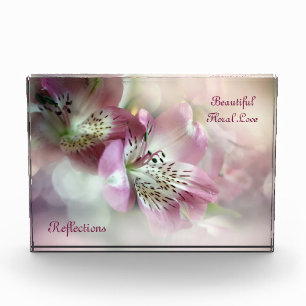 Hermoso Libro de Fotos de Reflexiones de Amor Flor