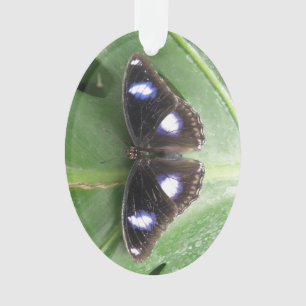 Hermoso Ornamento acrílico de mariposa con manchas