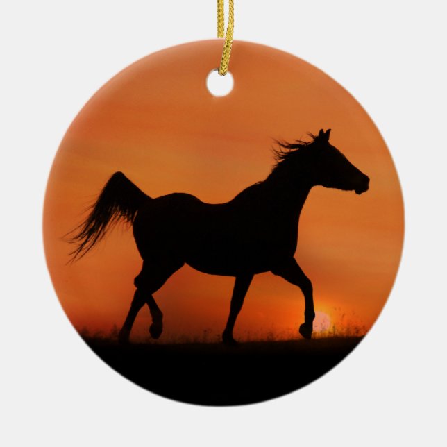 Hermoso ornamento árabe de caballos (Frente)