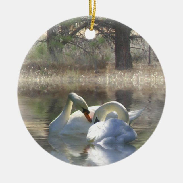 Hermoso Ornamento de Pareja de Cisne (Frente)
