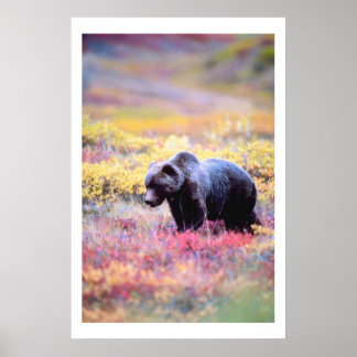 Hermoso oso en impresión de flores de primavera