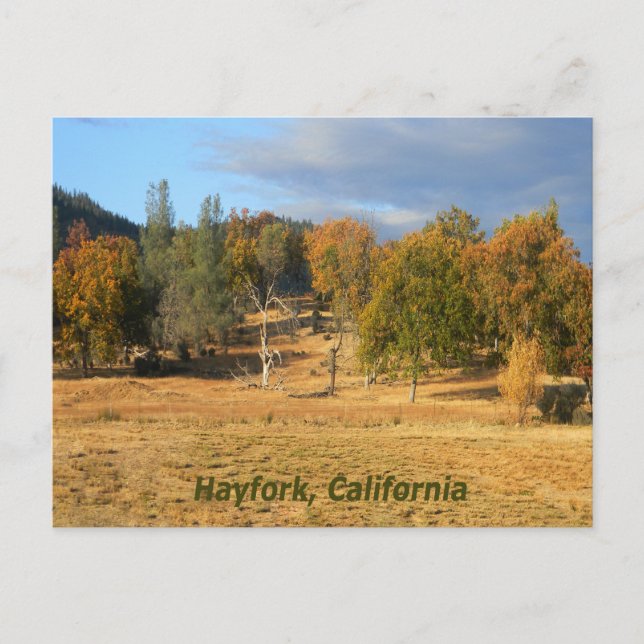 Hermoso país... postal (Anverso)