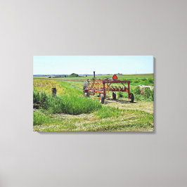 Hermoso paisaje agrícola y arte en la pared del tr